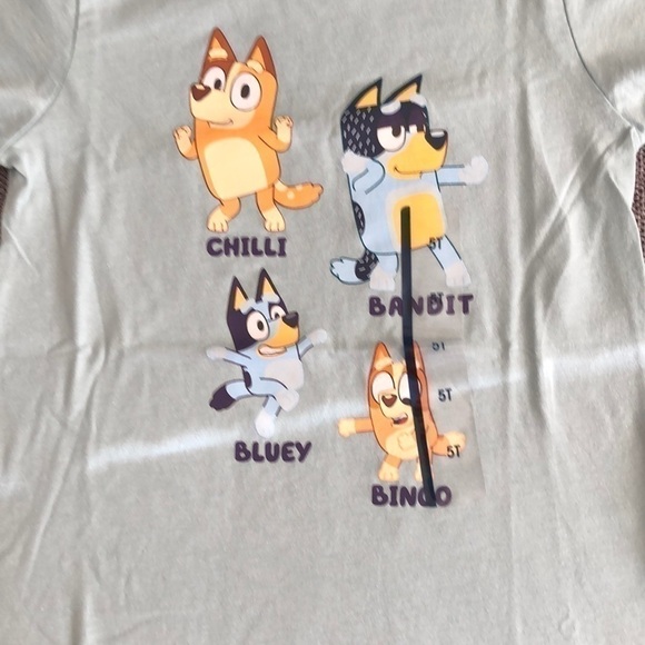 MOOSE Toddler Boy Girl Bluey Printed Short Sleeve T-Shirt Green 5T - Picture 4 of 8